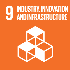 UN Industry, Innovation and Infrastructure