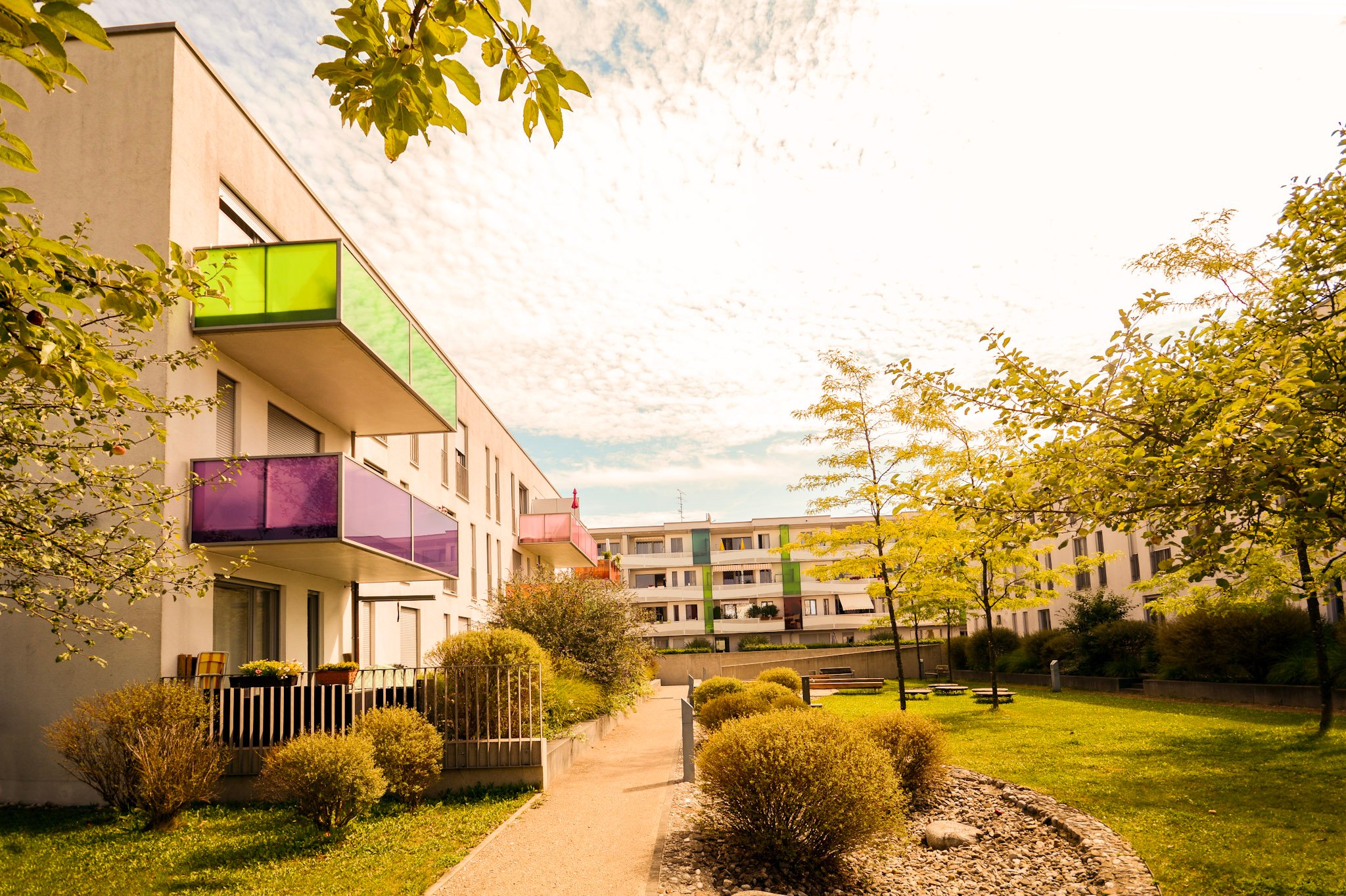 Frameworks > Painting, Decorating & Associated Repairs